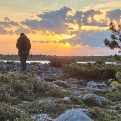 Ваше персональное путешествие вглубь веков: петроглифы, Кижи и Соловецкий монастырь
