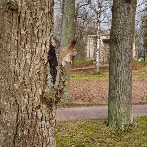 Все парки и замки Гатчины за один день