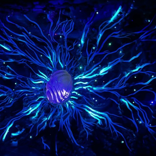 Индивидуальный автотур по Геленджику, Новороссийску и окрестностям