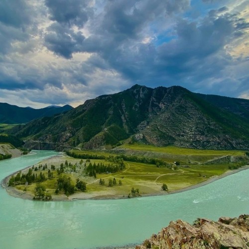 Лиловый наряд Алтая: путешествие по знаковым локациям и цветение маральника