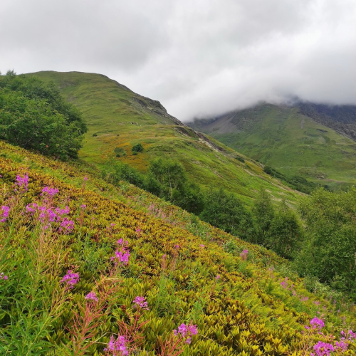 От предгорий Краснодарского края до лугов Красной поляны: треккинг-путешествие