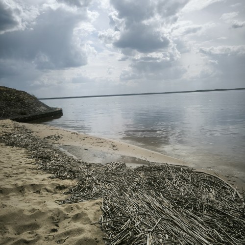 Индивидуальная поездка в Рыбинск: экскурсии по городу и мастер-классы