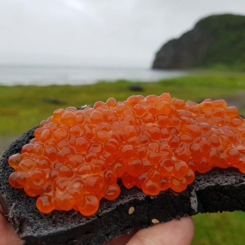 Сахалин, Кунашир и Шикотан: 2 недели на краю света