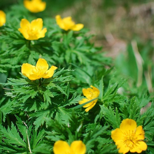 Поход по горам Архыза