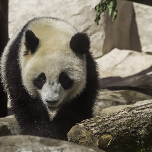 Семейное путешествие в Москву: прогулка с фонарщиком, детективная экскурсия и «Мосфильм»