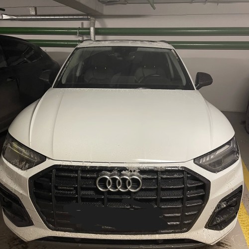 Приморский Парадиз — Сестрорецк, Репино, Комарово и Зеленогорск. Индивидуальная экскурсия