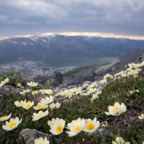 Горы и водопады Севера: тур на Кольский полуостров в мини-группе
