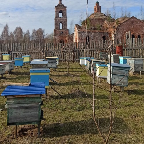 В гости к пасечнику (на вашем автомобиле)