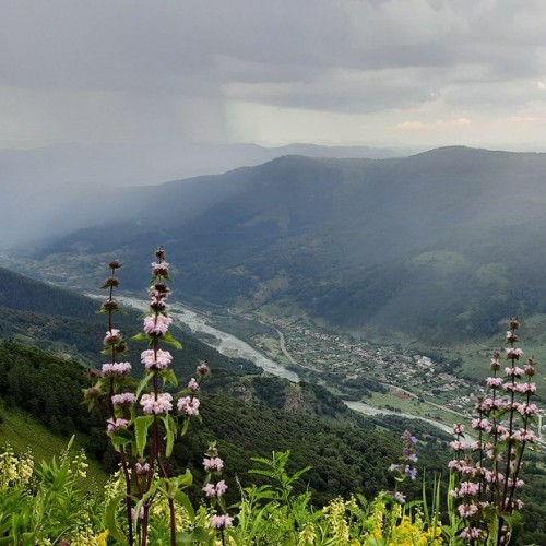 За раз весь Северный Кавказ: большое путешествие по всем республикам