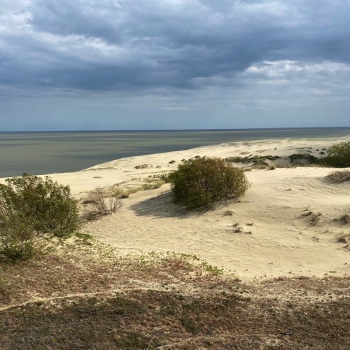 Зеленоградск, озеро Лебедь и другие природные чудеса с ночёвкой на Куршской косе (мини-группа)