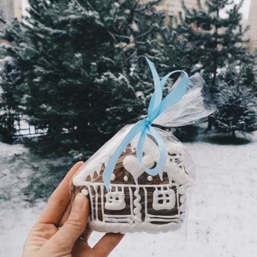 Встречаем Новый год в Карелии: экскурсии, праздничная программа и отдых в загородном отеле