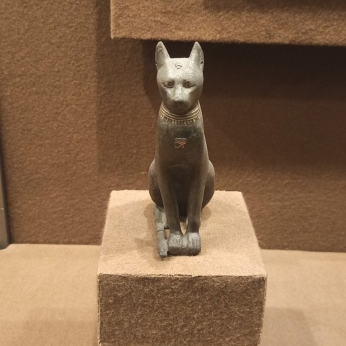 Звери в Эрмитаже: авторская экскурсия