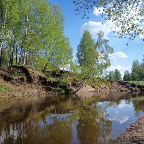 Первый раз с веслом в руках: лёгкий сплав по реке Воре (всё включено)