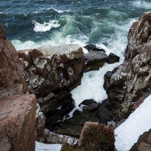 Арктические приключения: морская прогулка в поисках китов, Териберка и этническая деревня