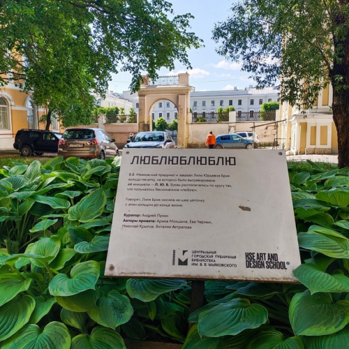 Мобильный квест «Бабуля на островах: в поисках сбежавших кошек»