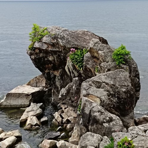 «Всё включено» на Байкале: экскурсии, водная прогулка, погружение в традиции и вкуснейшая кухня