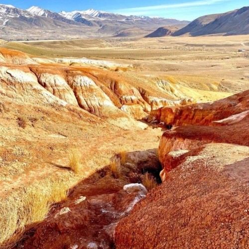 Когда Алтай оживает: цветение маральника, озёра и перевалы Чуйского тракта (мини-группа)