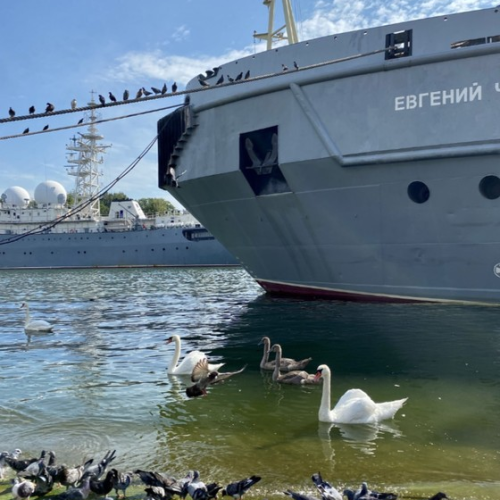 Персональная перезагрузка на Балтийской косе