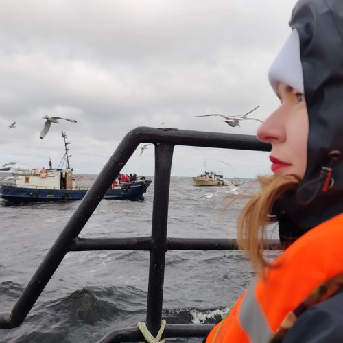 Большое приключение на Кольском в мини-группе: Териберка, корабли и красоты Арктики