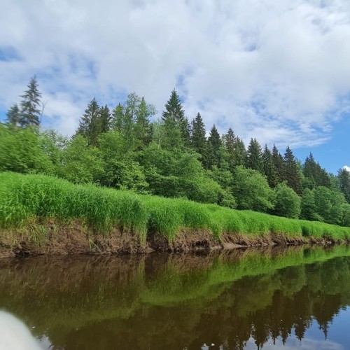 Детокс на Тверце: сплав на байдарках с посещением Торжка и «Василёво»