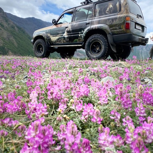 По Чуйскому тракту и перевалу Кату-Ярык с ветерком: трип на машине