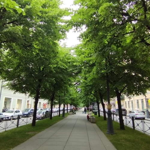 Мобильный квест «Тайна старинного рецепта»