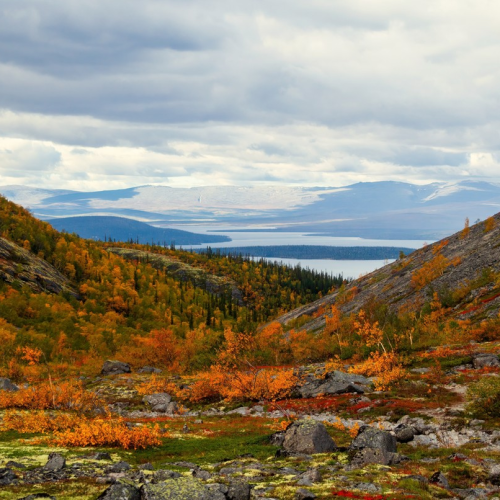 Удивительный Кольский: Сейдозеро, полуостров Средний и Териберка