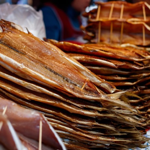Тур-знакомство с Байкалом: Ольхон, Огой и Листвянка