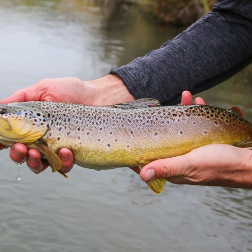 Рыбалка в тундре с ночёвками в палатках: ловим красную рыбу в озере, море или на сопках