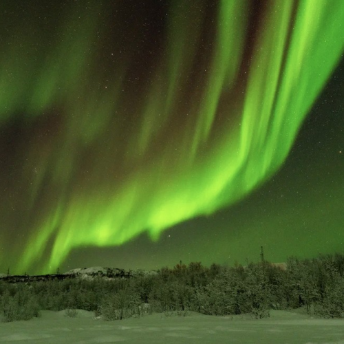 На Север за впечатлениями: северное сияние, Териберка, саамская деревня, хаски и олени