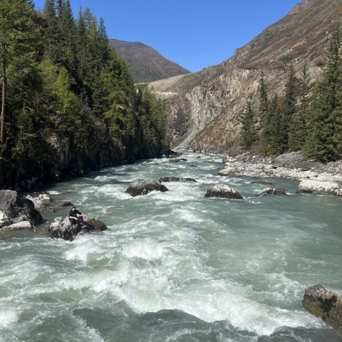 Алтайские тропы: красота природы с комфортом