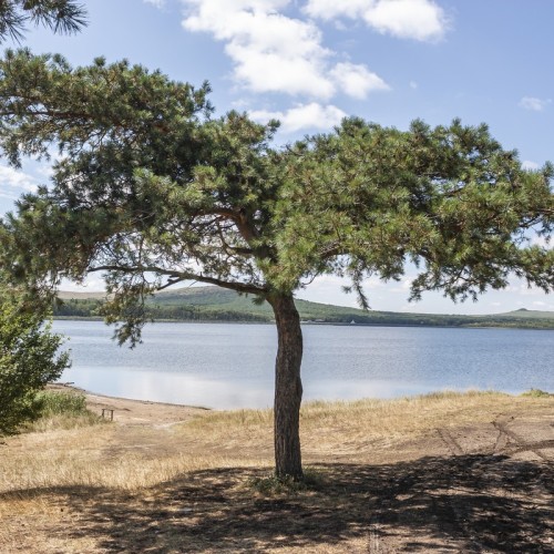 Сказочная Кабарда и чарующая Балкария (из Пятигорска)