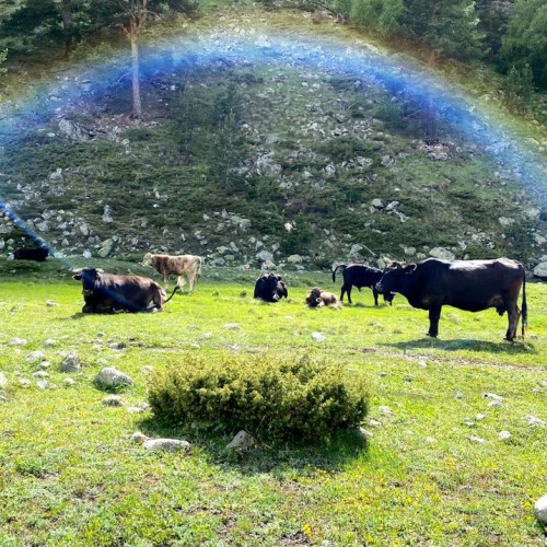 Треккинг налегке у подножия священной горы Уллу-Тау (комфорт размещения на выбор)