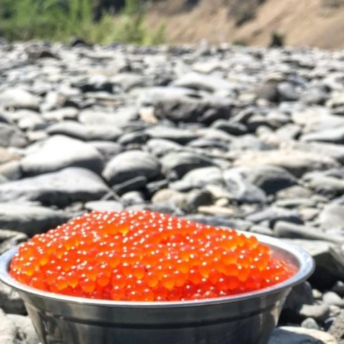 Активный отдых на Камчатке в мини-группе: треккинги, сплавы, квадроциклы