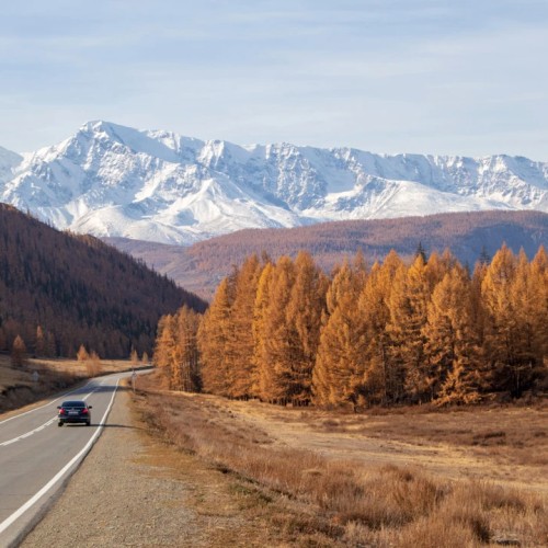 По озёрам, горам и степям с комфортом: 4 дня на Алтае