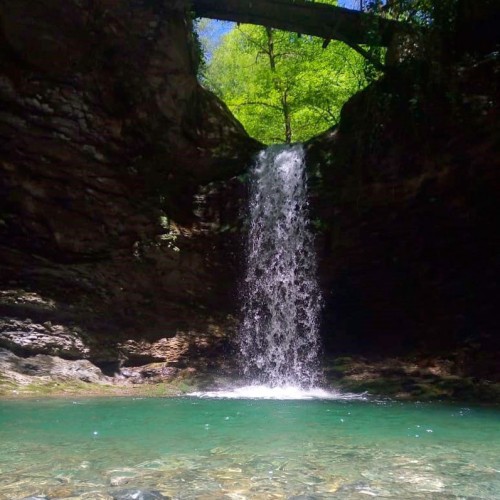 Лёгкий треккинг в субтропиках с проживанием в гостинице в Адлере