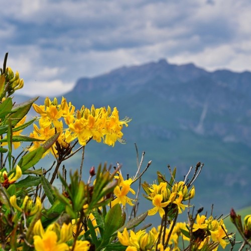 Большой релакс-тур 2 в 1: Ингушетия и Осетия, экскурсии по главным местам и 3 дня отдыха в термах