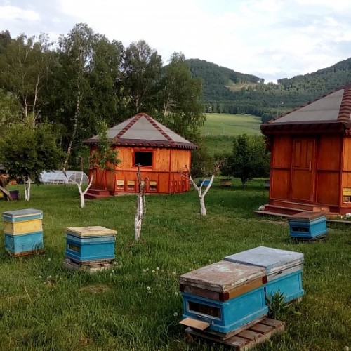 «Бирюзовая Катунь»: водопад, пещеры и горная пасека