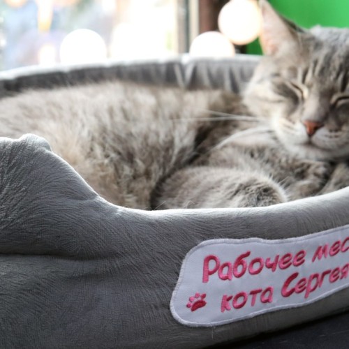 Зеленоградск, озеро Лебедь и другие природные чудеса с ночёвкой на Куршской косе (мини-группа)