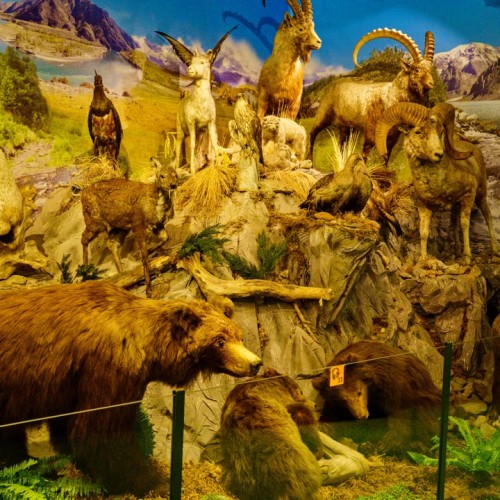 Неделя на Алтае: Телецкое озеро, Катунь и Чуйский тракт в мини-группе