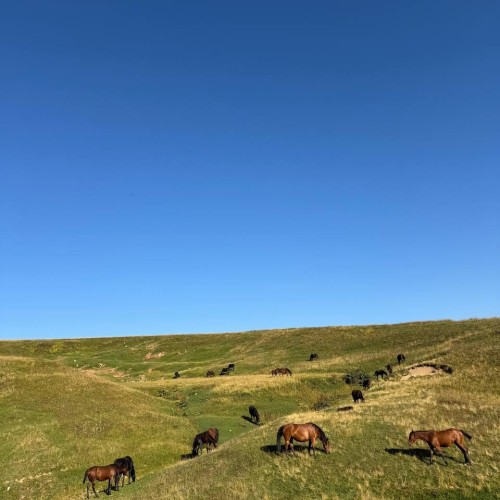 Спортивный уик-энд на Кавказе в мини-группе: забег по маршруту «Тридцатка»