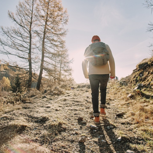 Автотур в мини-группе по знаковым локациям Алтая в период цветения маральника