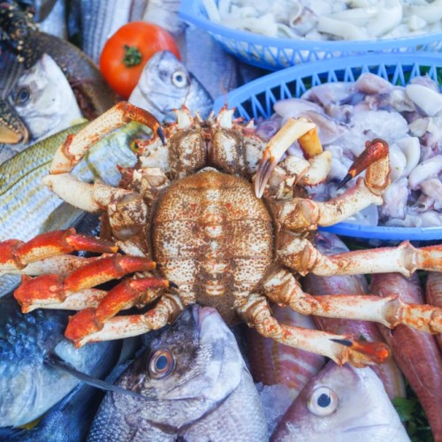 Камчатка для любви: романтичный видео- и фотовыезд для пар