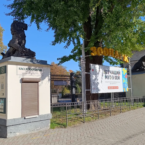 Мобильный квест в Калининграде «Новые приключения Красной Шапочки»