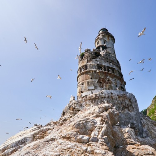 За деликатесами и к сивучам на Сахалин