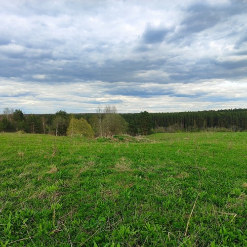 Сплав на байдарках по реке Осуге (всё включено)