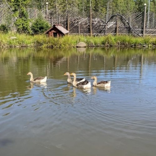 Водопады, рускеальский каньон и этнопарк с комфортом для всей семьи