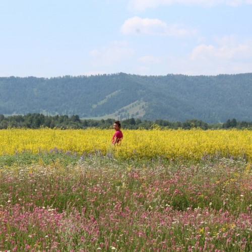 Насыщенное авто-пешее путешествие по Горному Алтаю