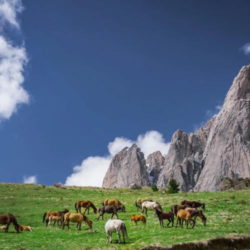 Объять Кавказ: Ингушетия, Осетия, Чечня и Дагестан