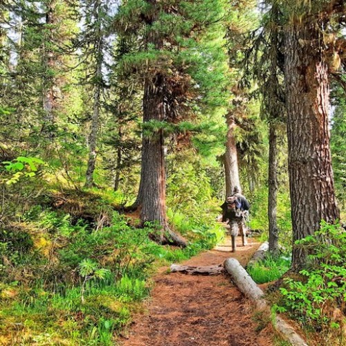 Сказочные Саяны: треккинг в природном парке «Ергаки»